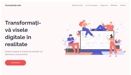 Șablon: Consultanță web