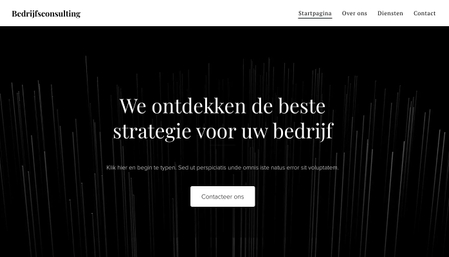 Bedrijfsconsulting Sjabloon