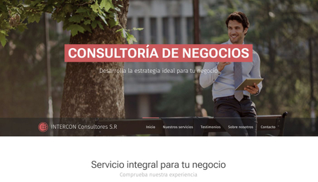 Plantilla - Consultoría de Negocios